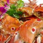 金针云耳蒸牛肉