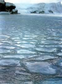 我国南极长城考察站建成（历史今天lsjt.org）