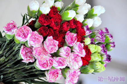 24朵康乃馨代表什么含义